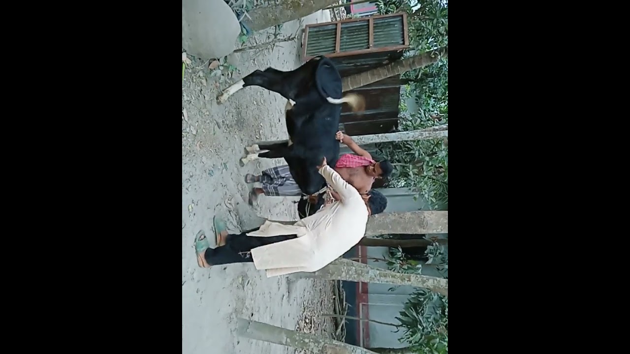 ১৩ মার্চ, ২০২৬