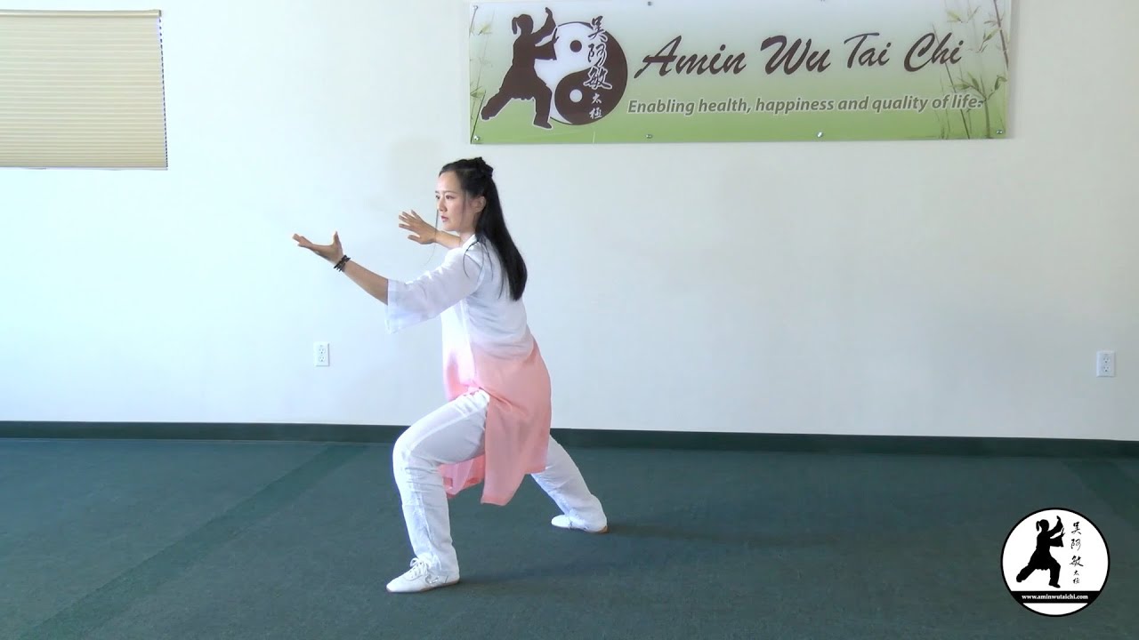 New! Chen-Style Tai Chi 24 Form Full Demo (Front View) 陳式太極拳二十四式 全套正面示範