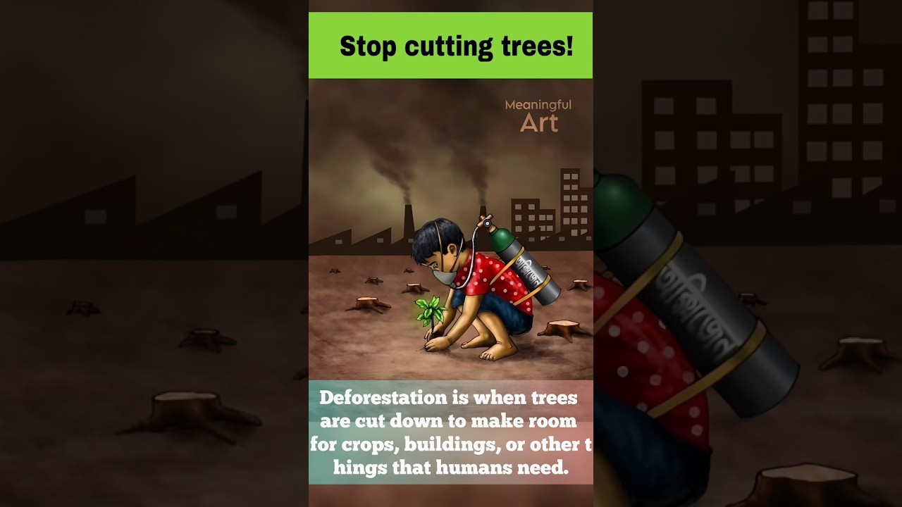 stop cutting trees! Deforestation