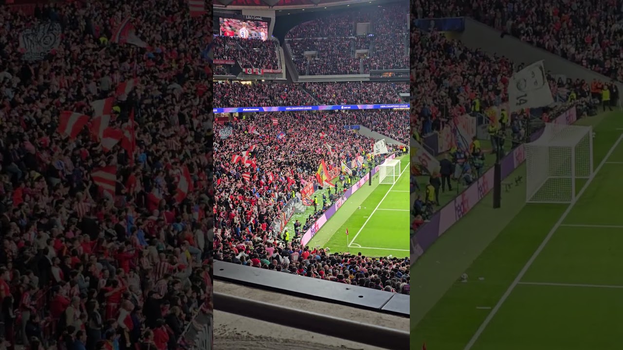 SORLOTH HATTRICK GOAL! SCENES!