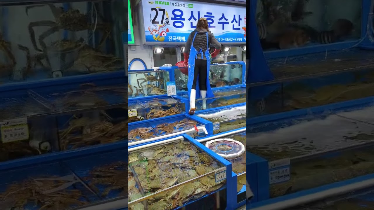 Seafood from the fish market in korea