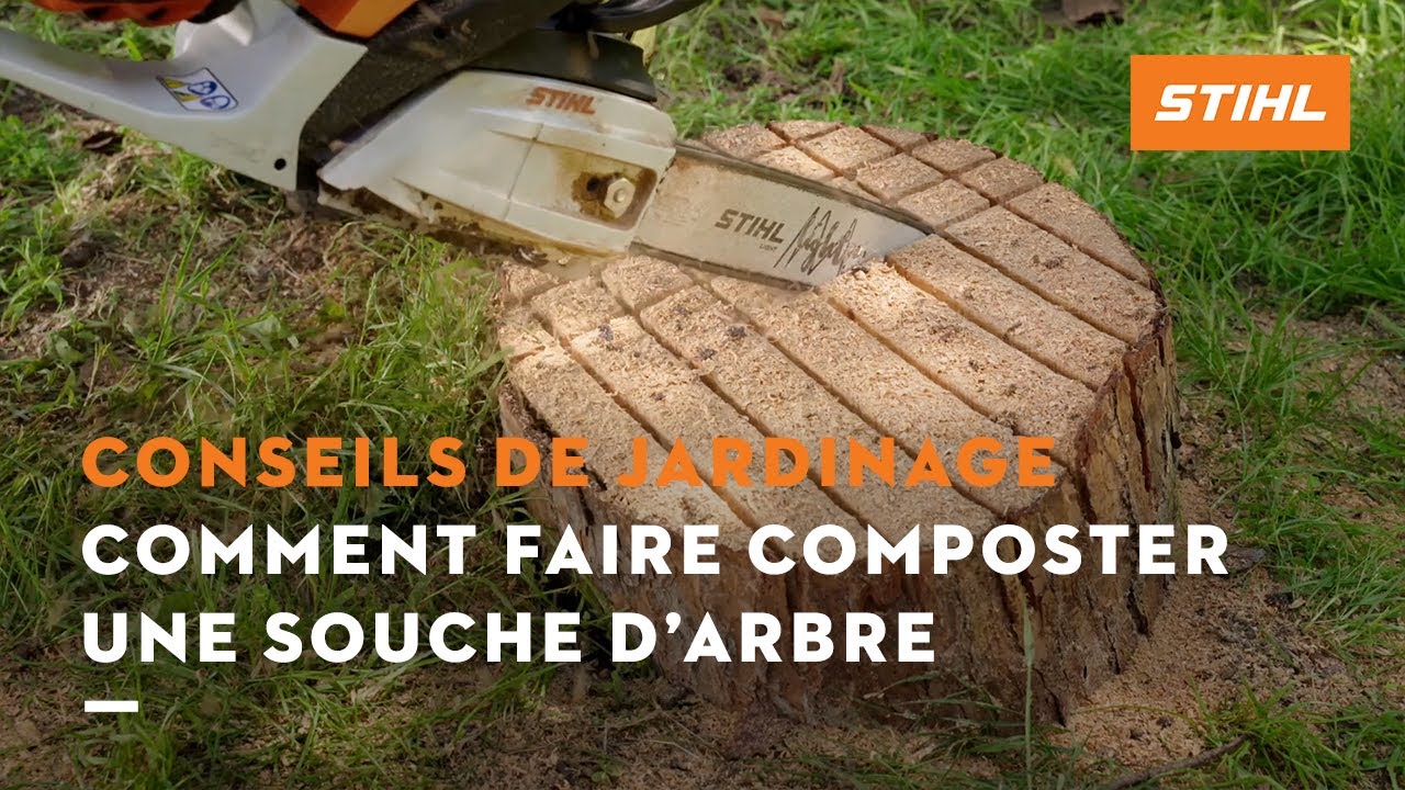 Comment faire composter une souche d’arbre ? - Conseils de jardinage STIHL