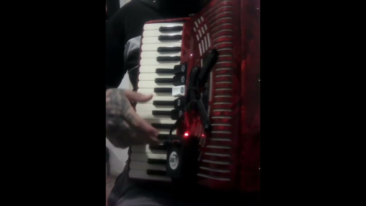 Acordeón Tuya Porá - Entre Amigos Y Chamame / Cover