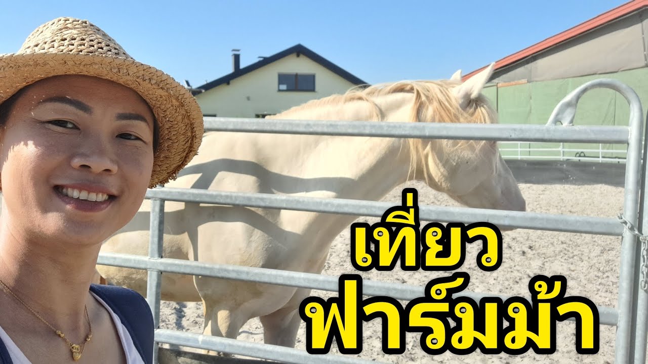 เดินเที่ยวฟาร์มม้า สูดอากาศธรรมชาติ #คนไทยในต่างแดน#ฟาร์มม้า