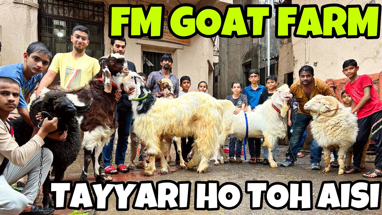 QURBANI 2025 KA LAJWAAB PALAI RESULT AT FM GOAT FARM KALYAN || GOATS HUB||