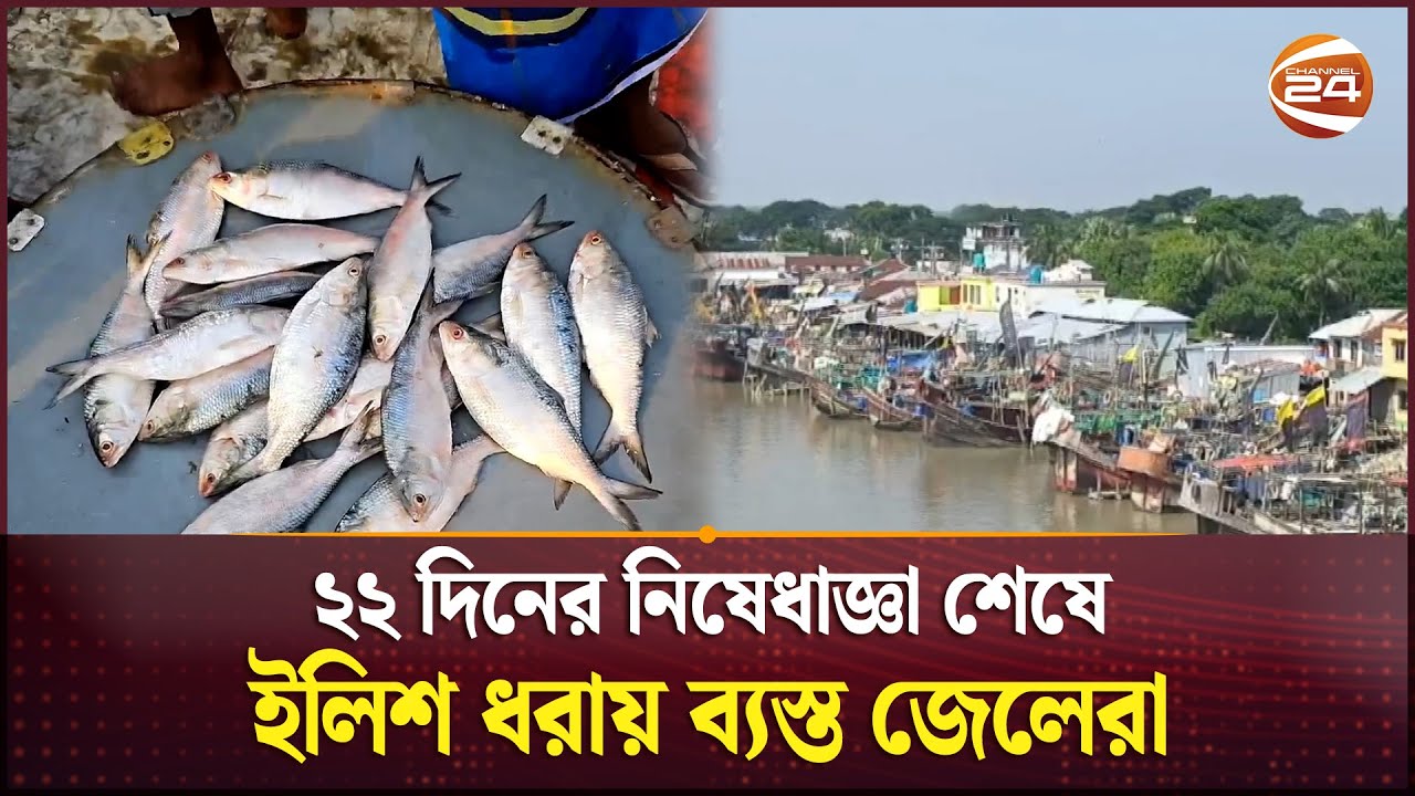 ২২ দিনের নিষেধাজ্ঞা শেষে ইলিশ ধরায় ব্যস্ত জেলেরা | Hilsa Fishing | Channel 24