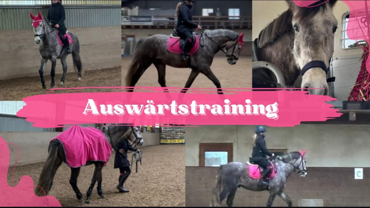 Auswärtstraining mit Jack ￼