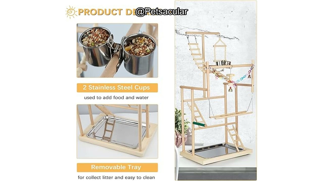 Pet Parrot Playstand Review: Is This 4-Layer Playground Worth the Investment for Your Bird?