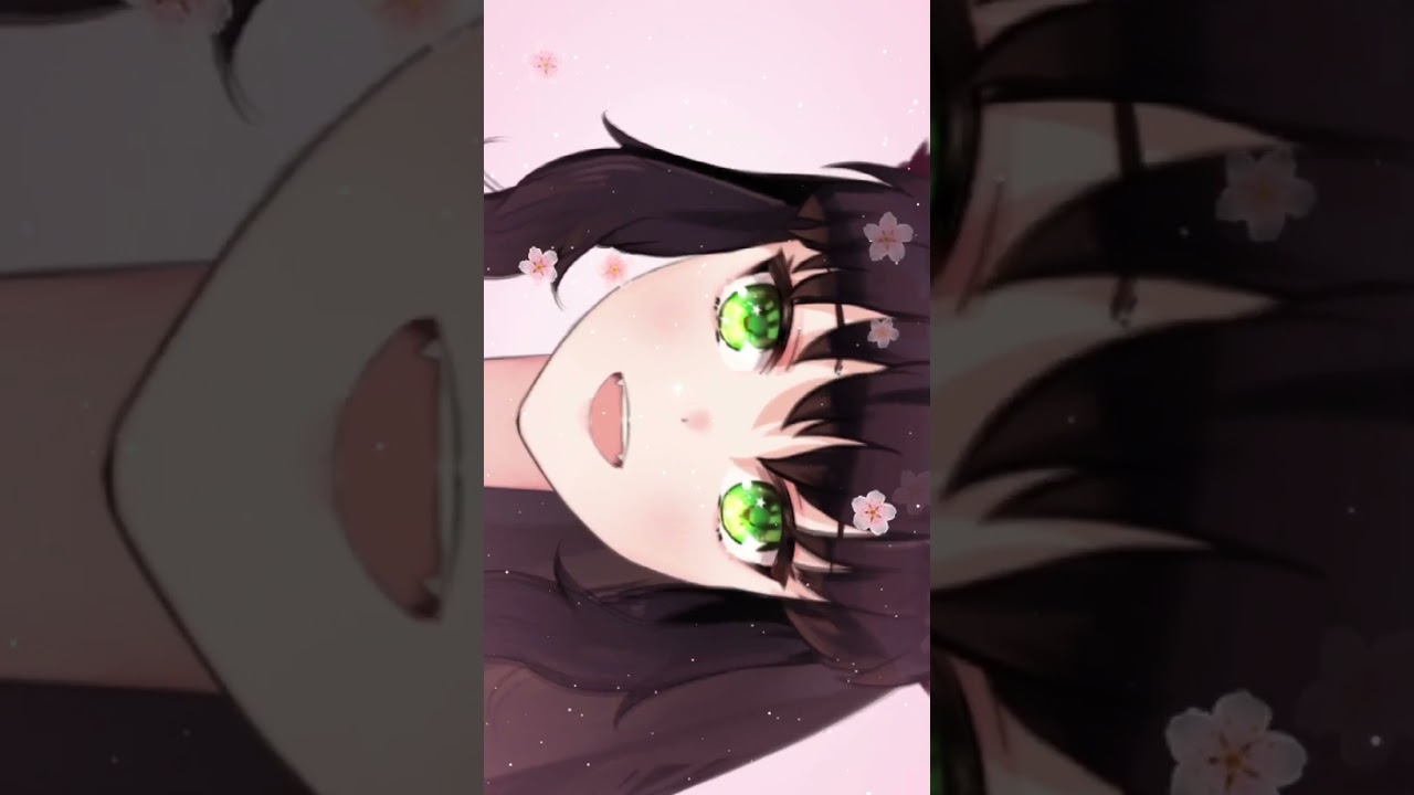 peek (〃´ﾉω`〃) 