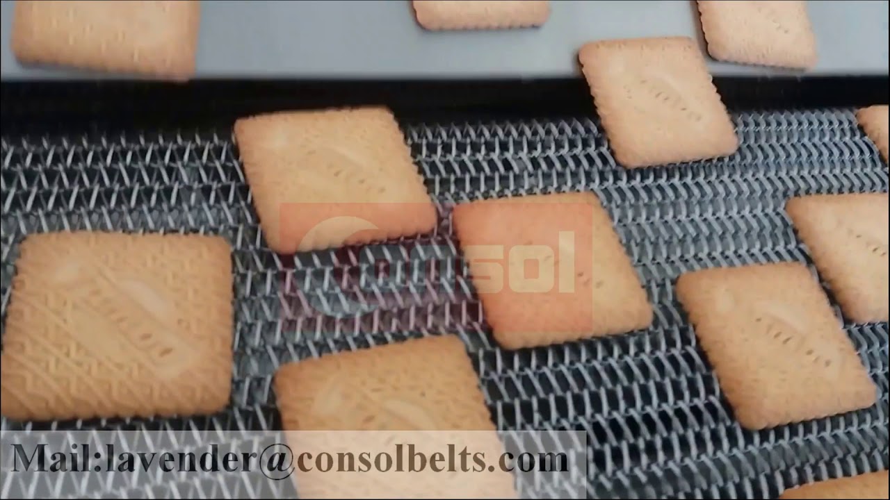 automatisée de petits biscuits de sel Ligne machine  tunnel à biscuiterie Fours  biscuits