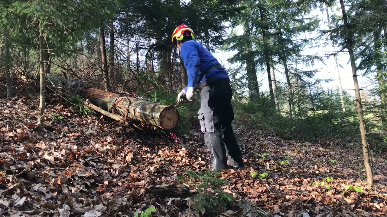 Holz rücken mit Uniforest 55 Hpro