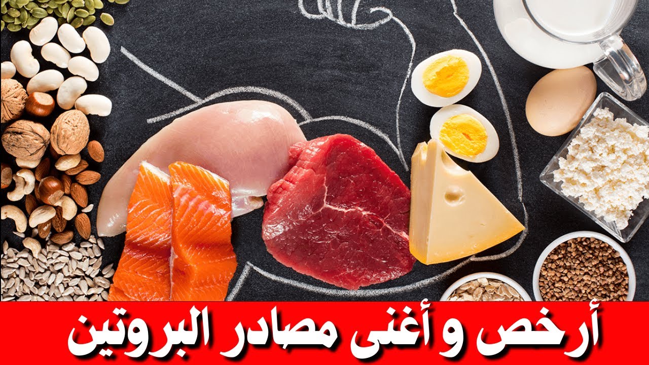 أرخص مصادر للبروتين | أسرار بناء العضلات  بأقل ثمن ممكن