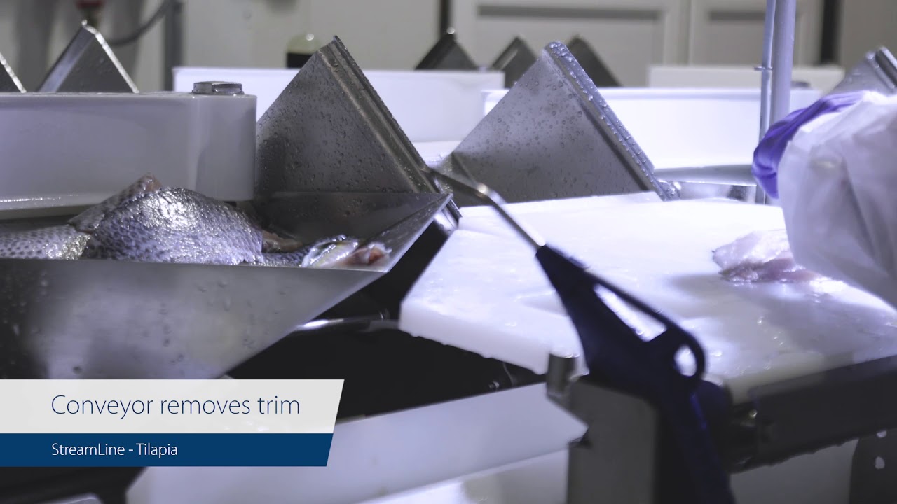 StreamLine Tilapia &ndash; Intelligent trimming concept