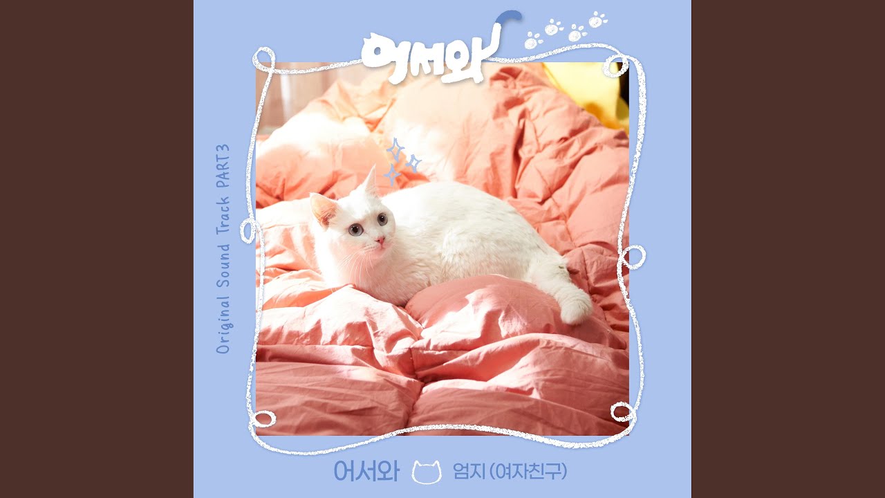 Meow the Secret boy