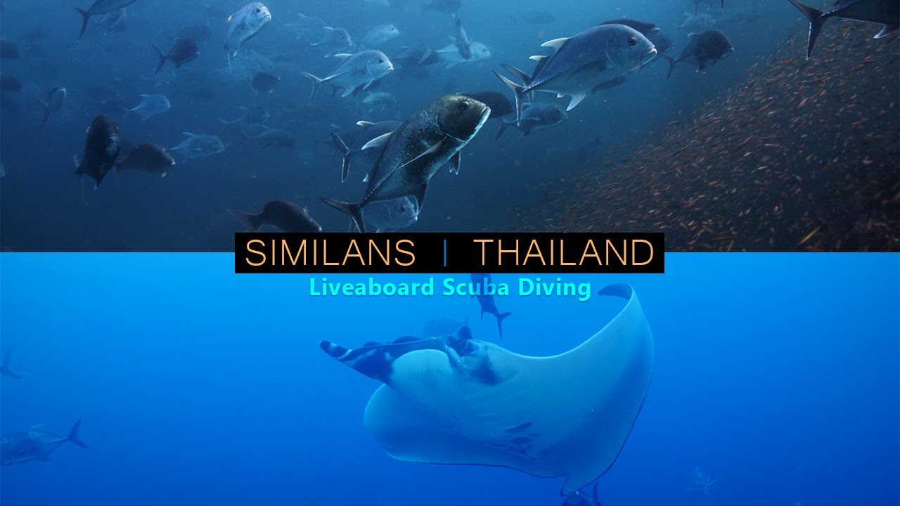 A Journey Through Similans | Liveaboard Diving Aboard Deep Andaman Queen