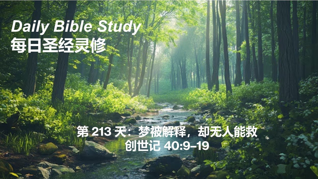 Daily Bible Study Day 213