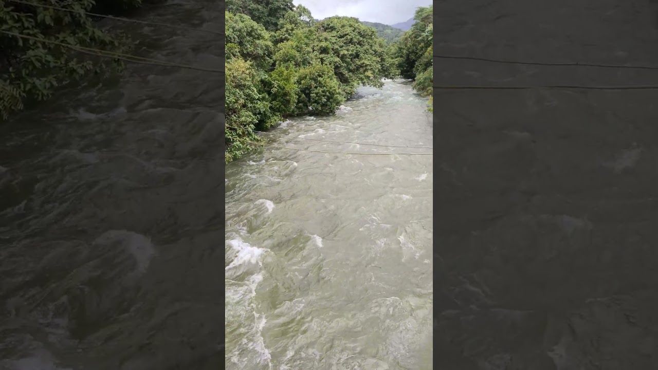 View of Kalindi River from Nettara Bridge Thirunelli, Wayanad