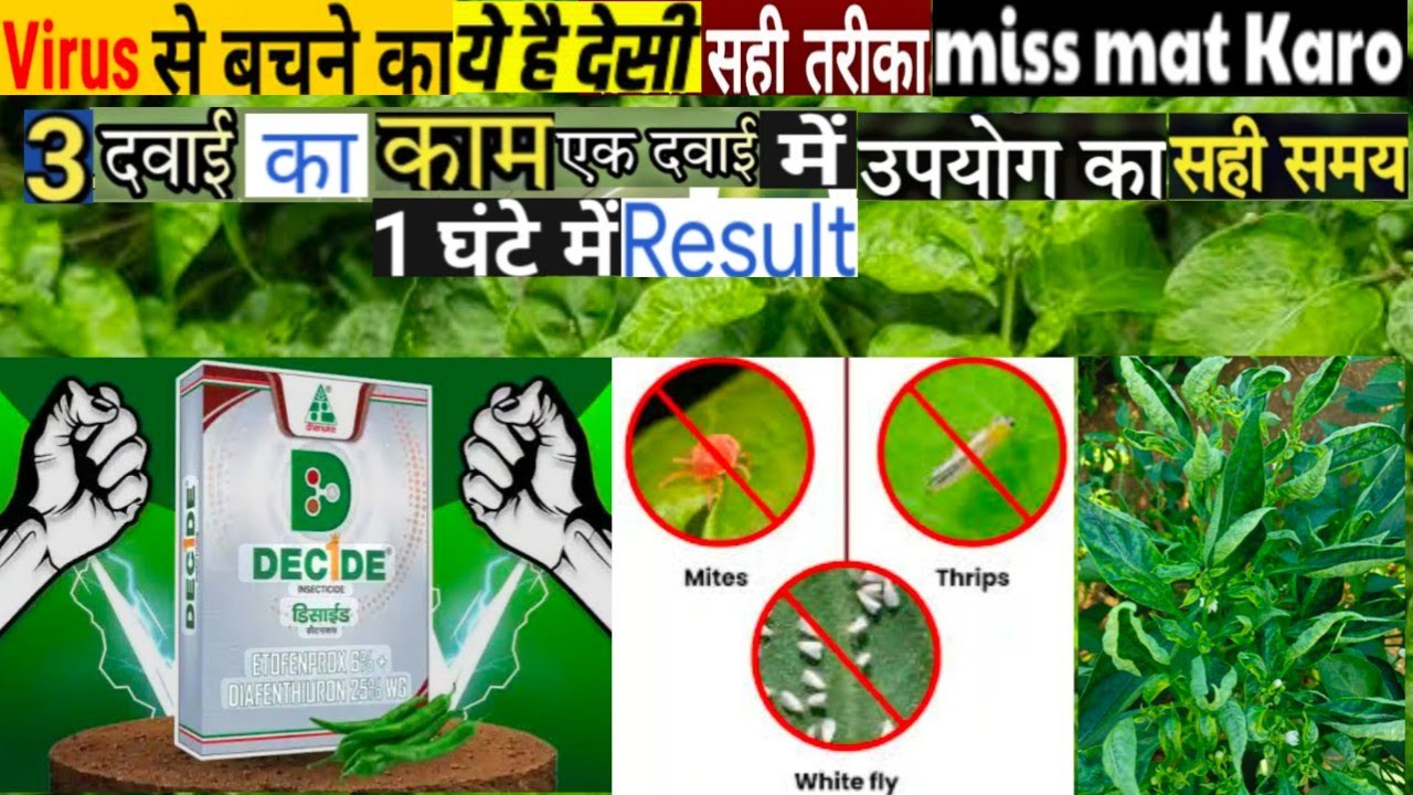 Dhanuka Decide|Dicide insecticide |Dhanuka Decide insecticide|Etofenprox 6% + Diafenthiuron 25% WG