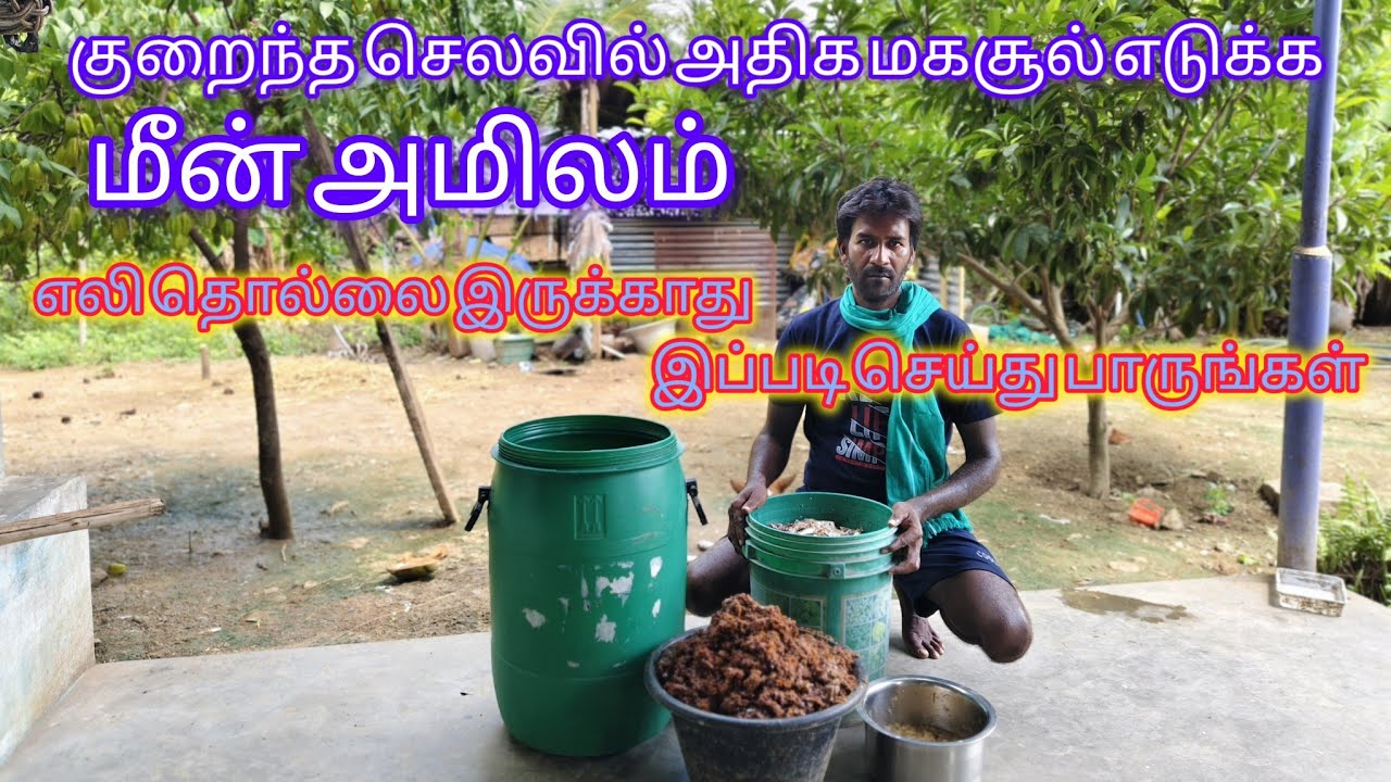 மீன் அமிலம் தயாரிப்பது எப்படி? How to make fish acid🐬🐬
