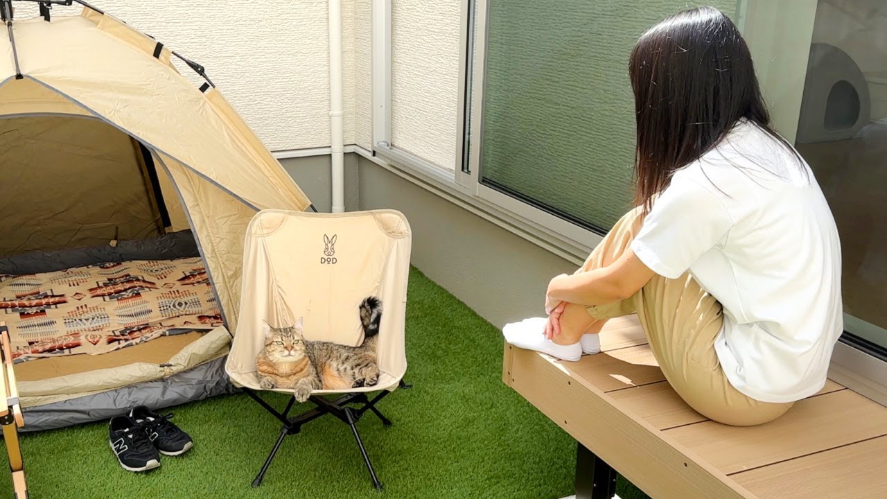 猫とキャンプをしたら椅子を占領されました…。