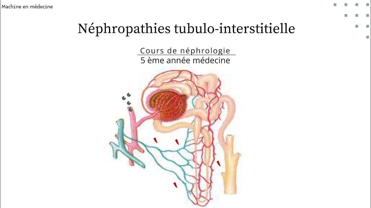 Néphropathie tubulo-interstitielle chronique 