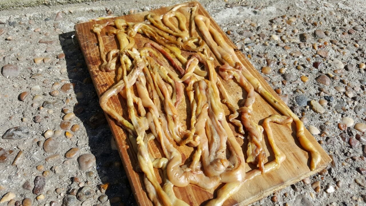 Tripa de pollo / Limpieza / Encarne y Conservación !!!