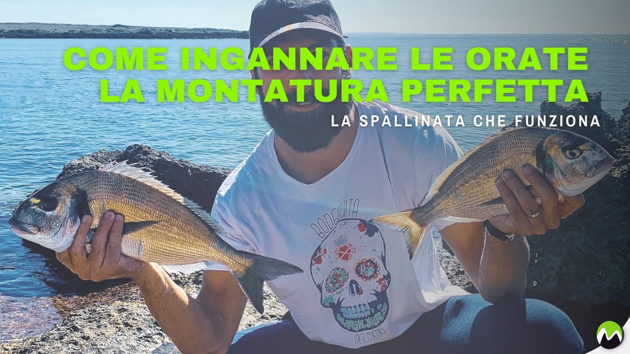 COME INGANNARE LE ORATE: La montatura perfetta...la spallinata che funzione