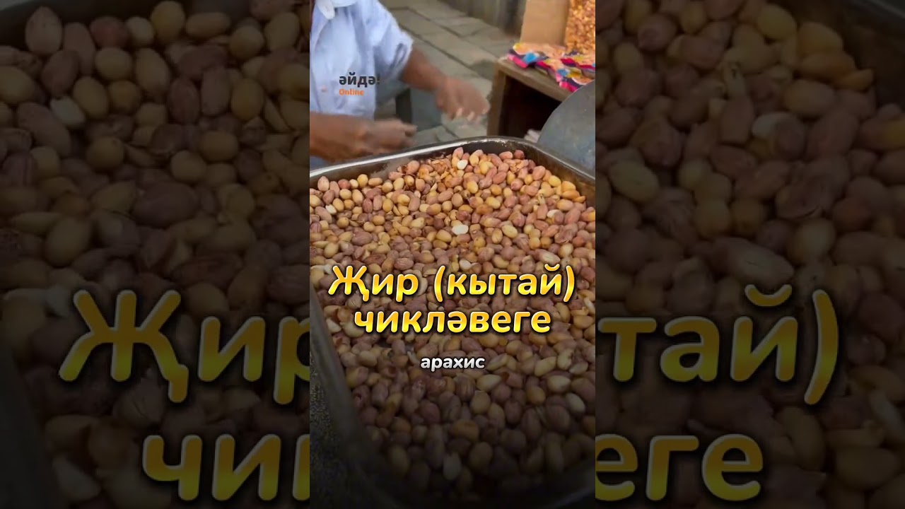 Названия 5 орехов на татарском 🐿