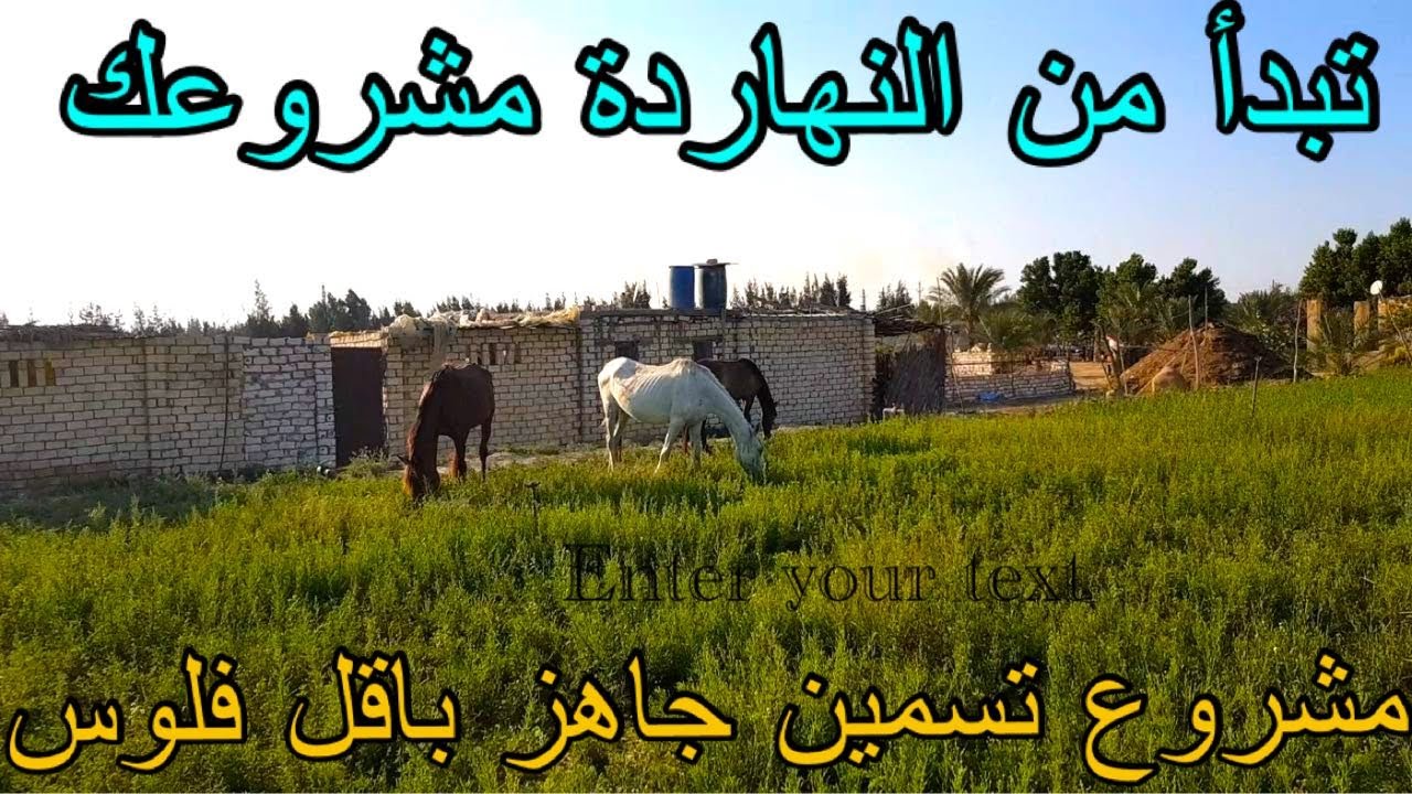 مزرعة تسمين مواشي للايجار 2 فدان في وادي النطرون كل الامكانيات طريق القاهرة اسكندرية الصحراوي