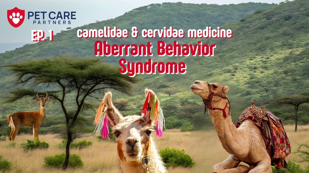 EP 1: When Llamas Attack: Decoding Aberrant Behavior Syndrome (ABS) | Pet Care Partners