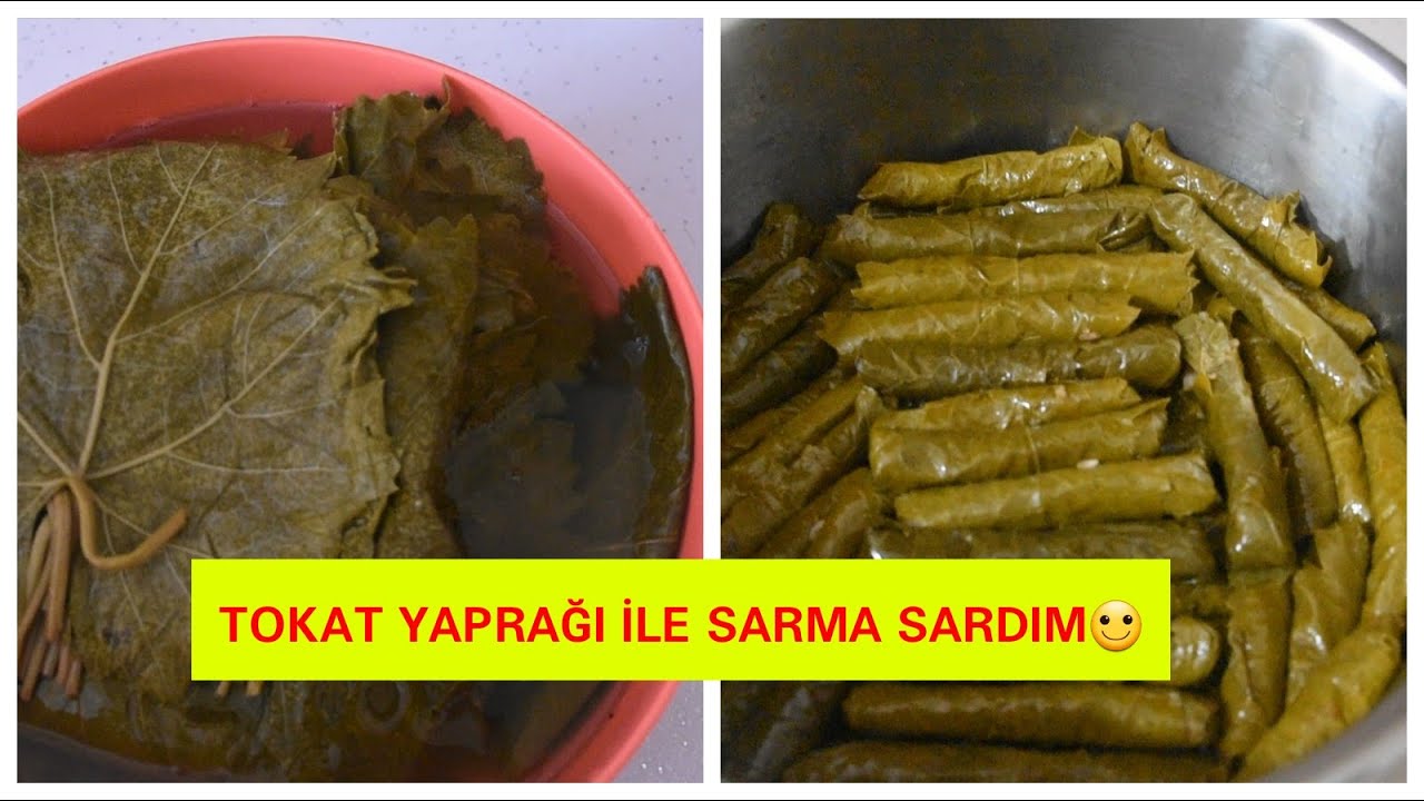 TOKAT YAPRAĞI İLE SARMA YAPTIM 💯/YAPRAK SARMASI