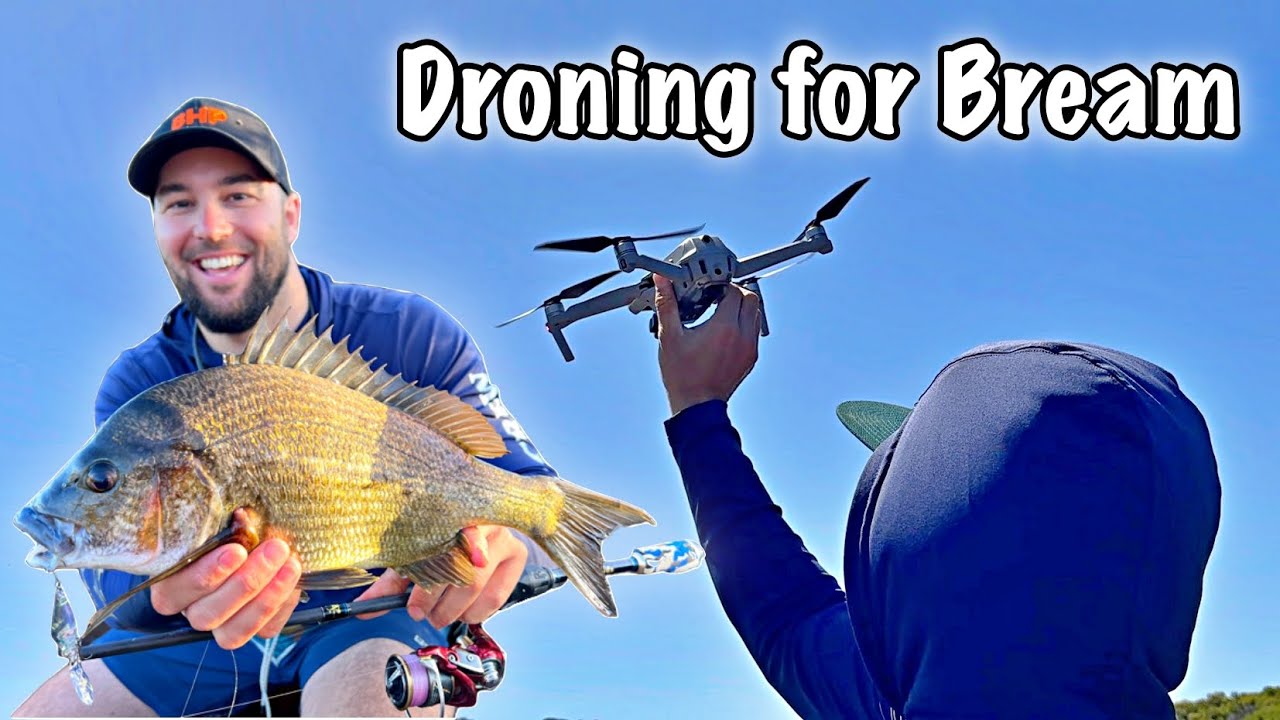 DRONE Fishing for Black Bream in SWAMP HOLES