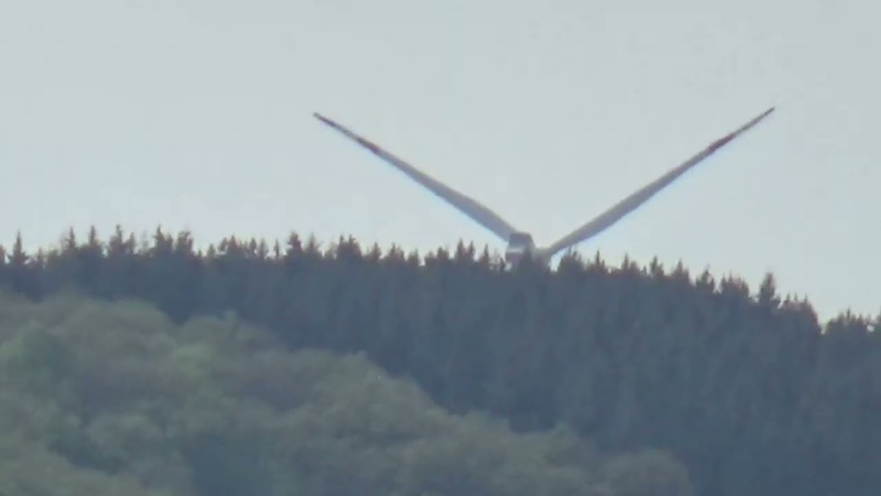 Traumpfad Hatzenporter Laysteig 2 #wandern #hiking #dream #path #insel #mosel #turm