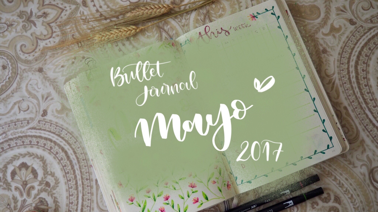 Bullet Journal Mayo 2017