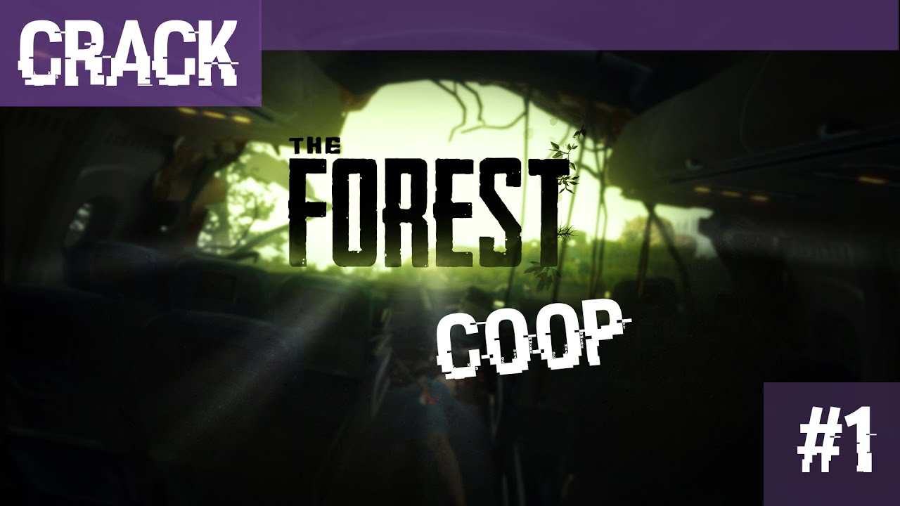 [FR] Crack The Forest 0.30b | Coop