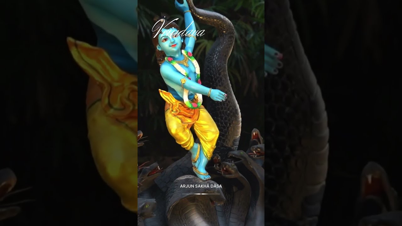 Saranagati Youth Retreat (SYR)- 2024 Highlights