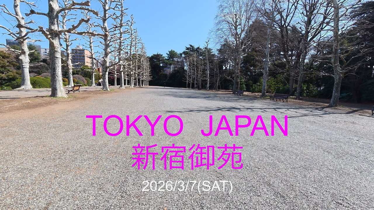 2026年3月7日(土)新宿御苑　SONY ZV-E10M2&Dji Osmo action6で撮影