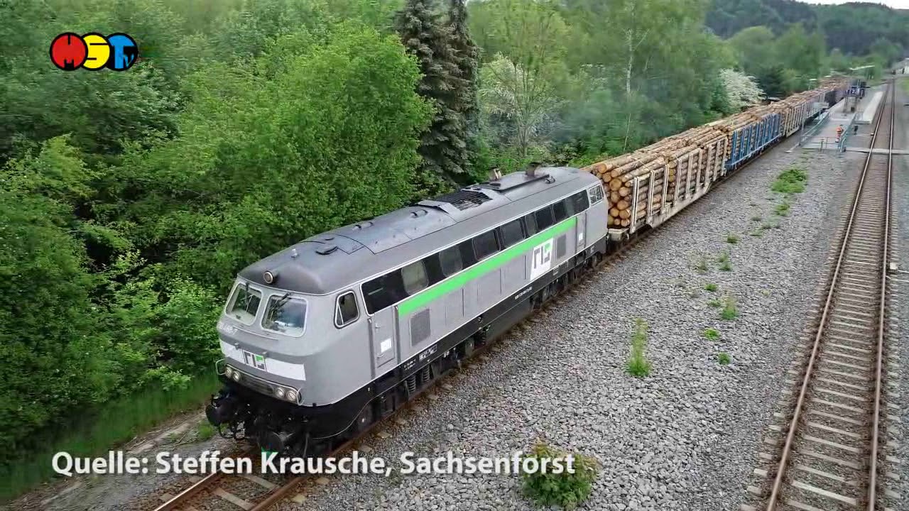 Abtransport Schadholz aus Sachsens Wälder