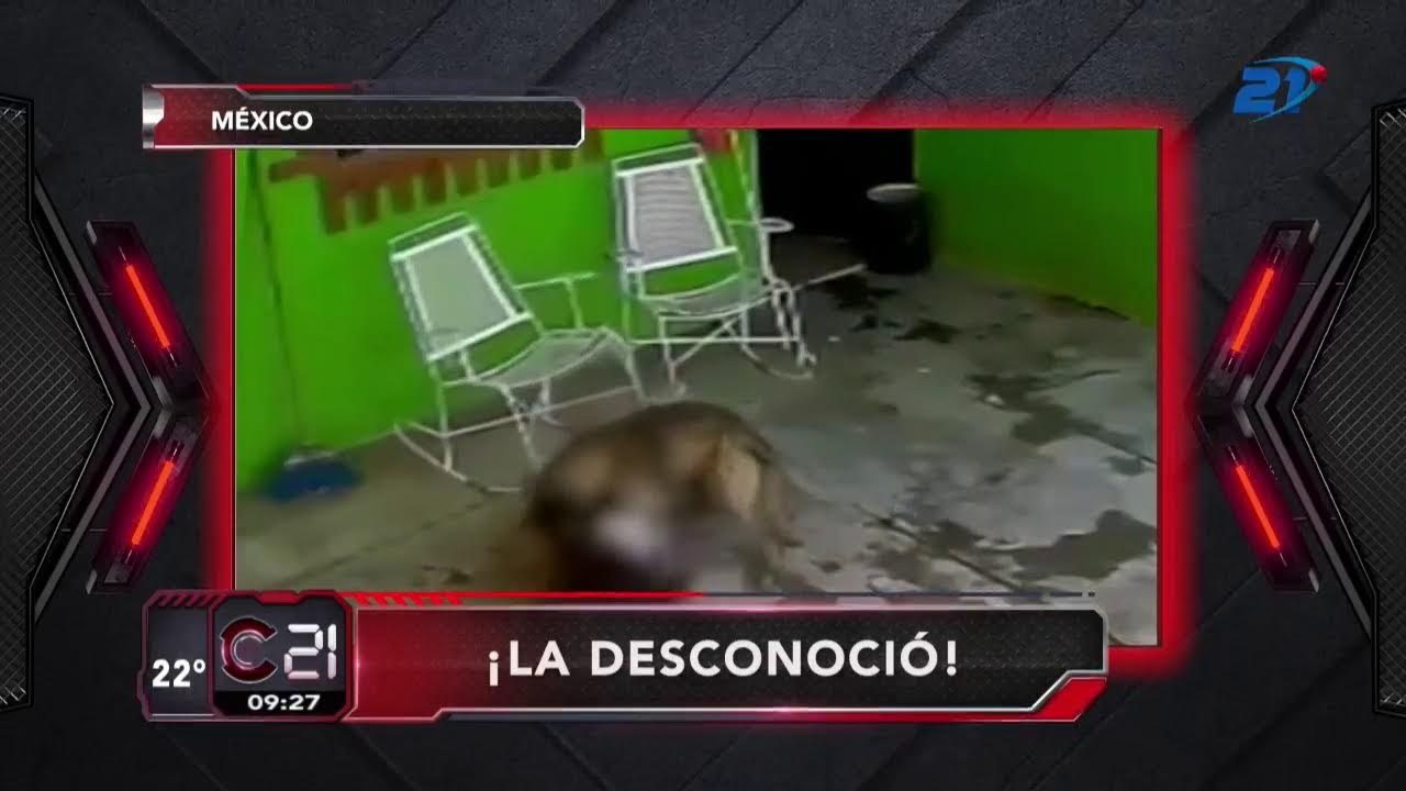 ((EN VIVO)) CÓDIGO 21 – EL ORIGINAL JUEVES 5 DE MARZO #Código21