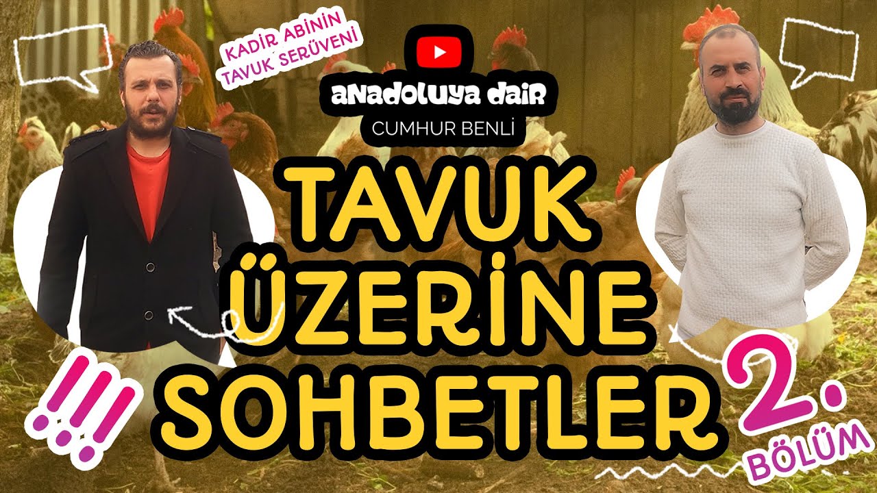 TAVUK ÜZERİNE SOHBETLER SERİSİNİN 2. BÖLÜMÜN'DEN :)