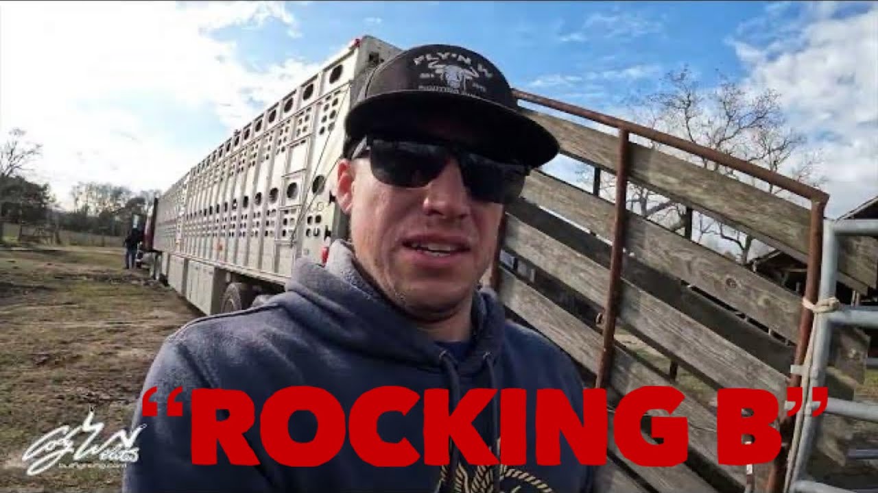Rocking B Fighting Bulls -  Behind the chutes #100