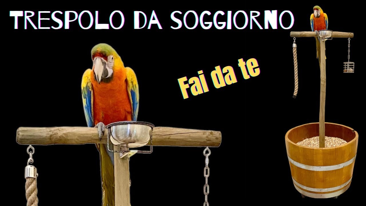 Pappagalli: trespolo da soggiorno fai da te