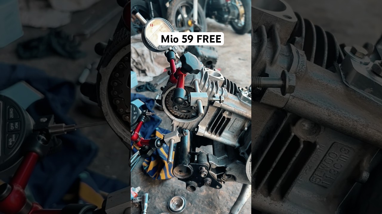 Mio 59 free #reels #shorts #mio #59free