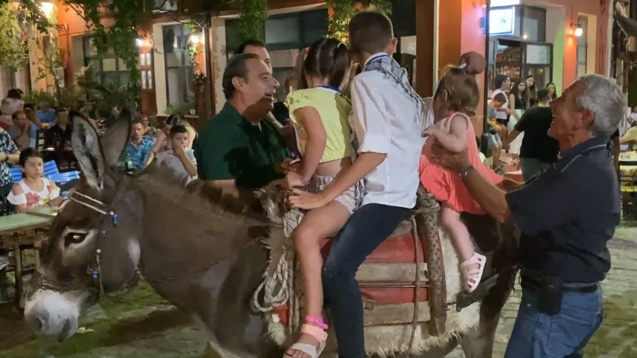 Πανηγύρι του αγίου Χαραλάμπους καλλιστεία αλόγων Μανταμάδος Λέσβου 21/07/2023