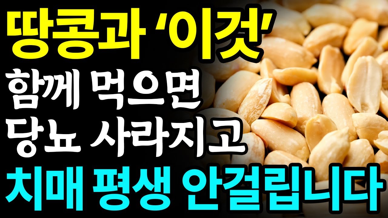 땅콩과 함께 먹으면 보약되는 음식 3가지와 레시피 총정리! 값비싼 영양제 대신 '이것' 드세요 I 치매에 좋은 음식 I