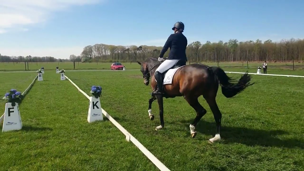 KNHS klasse B. PROEF 20 , 18-04-2022 TILBURG, 205,5 punten(68,5%) 1e plaats (1e x outdoor concours)