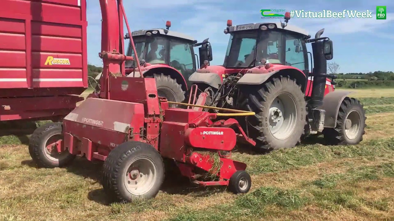 Feeding Grass Silage - Want 50kg more winter weight gain for no extra cost? - Virtual Beef Week