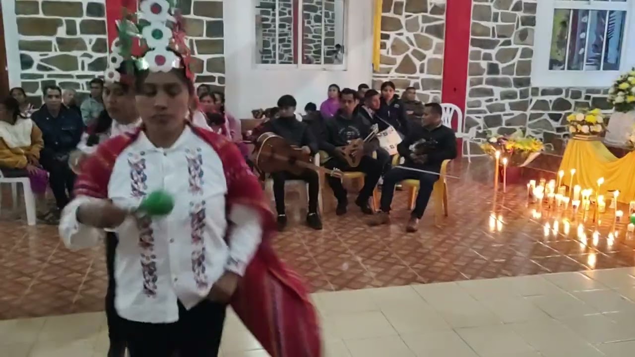 Danza de tres colores san isidro labrador de nuevo Hidalgo huazalingo 🎻❤️🙏🏻