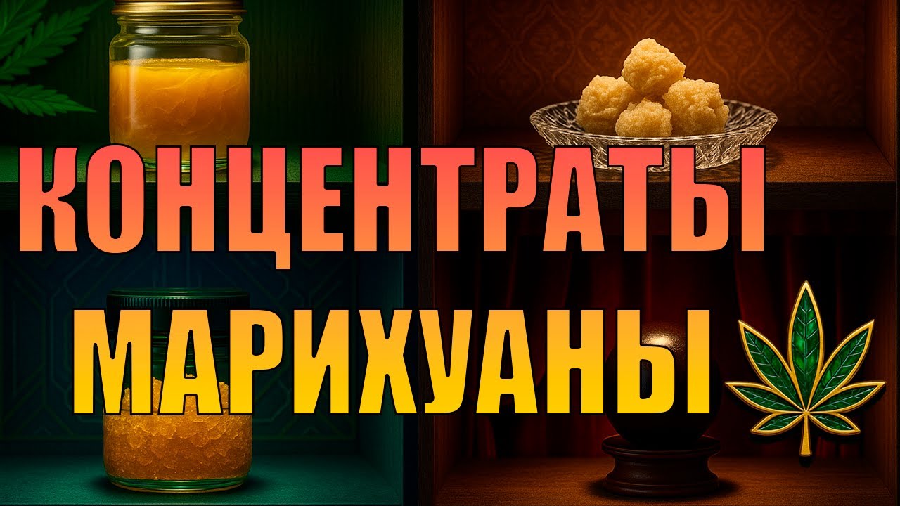 КОНЦЕНТРАТЫ МАРИХУАНЫ. Виды. Особенности. Методы производства.