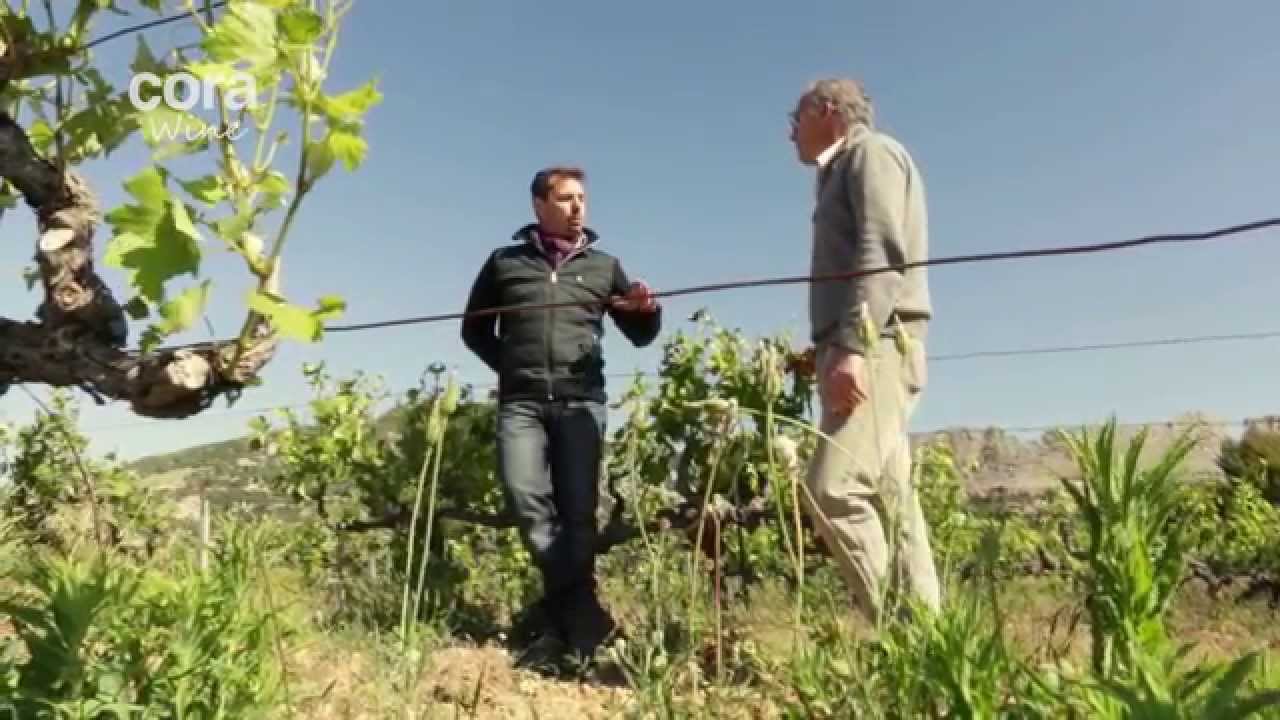 Xavier Vignon - cora Wine